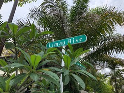 Limau Villas (D16), Terrace #188959552